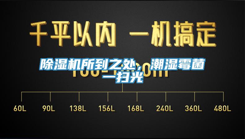 除濕機所到之處，潮濕霉菌一掃光