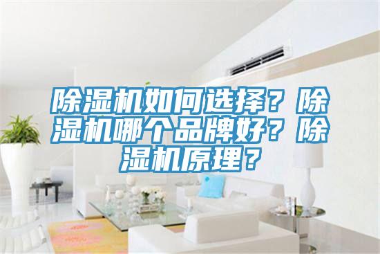 除濕機如何選擇？除濕機哪個品牌好？除濕機原理？