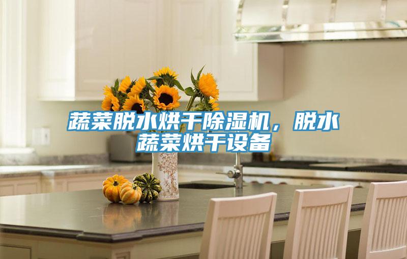 蔬菜脫水烘干除濕機，脫水蔬菜烘干設(shè)備