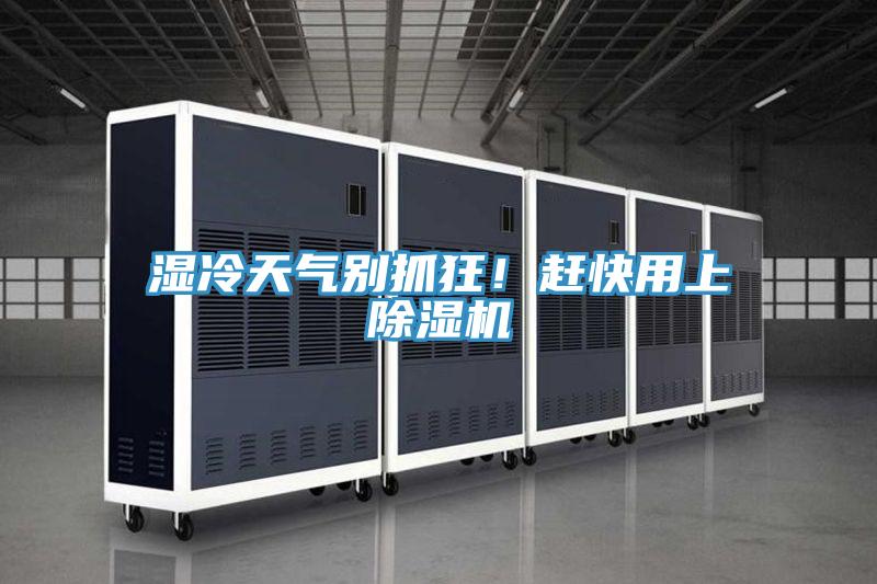 濕冷天氣別抓狂！趕快用上除濕機