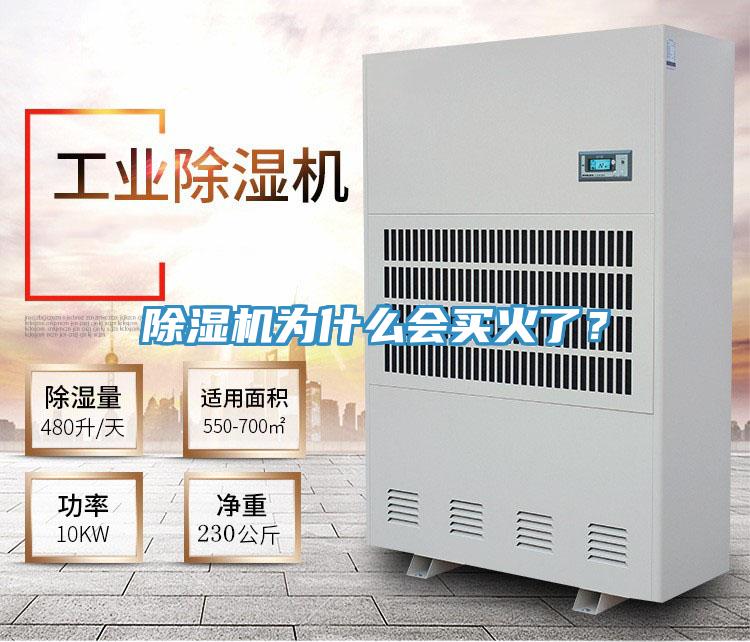 除濕機為什么會買火了？