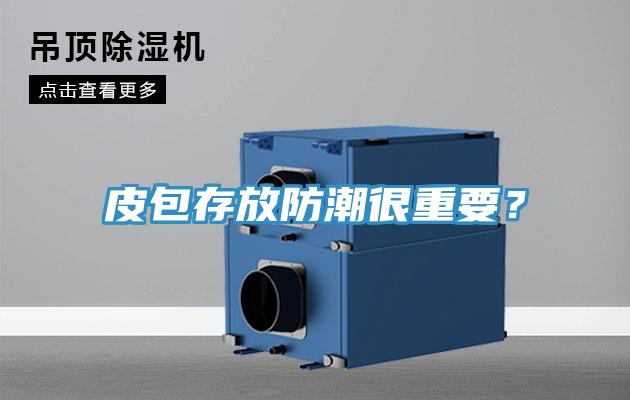 皮包存放防潮很重要？
