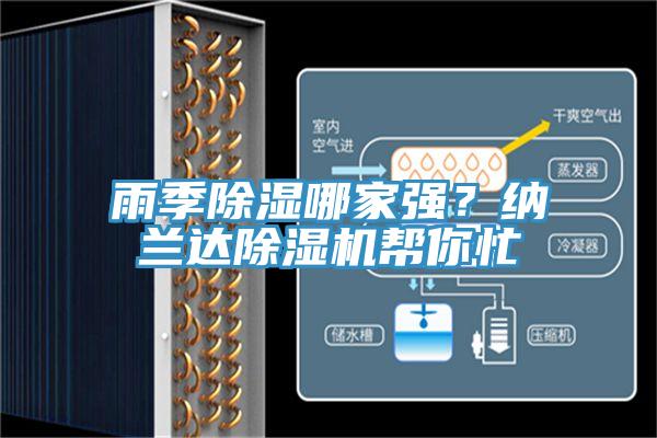 雨季除濕哪家強？納蘭達除濕機幫你忙