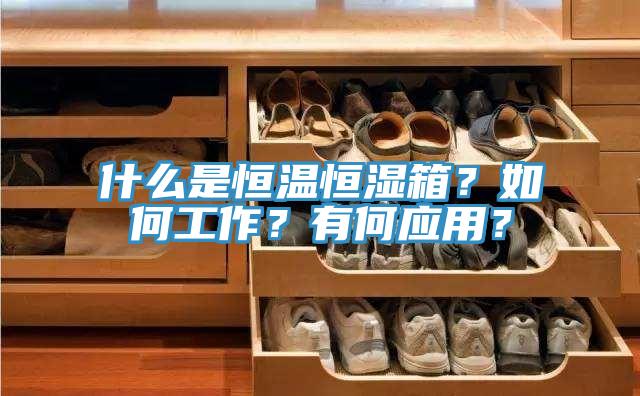 什么是恒溫恒濕箱？如何工作？有何應(yīng)用？