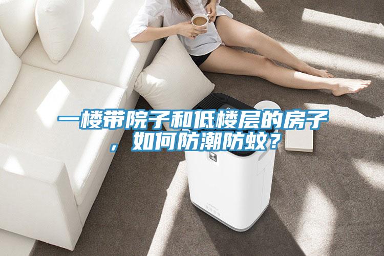 一樓帶院子和低樓層的房子，如何防潮防蚊？
