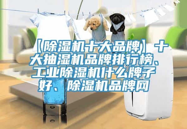 【除濕機(jī)十大品牌】十大抽濕機(jī)品牌排行榜、工業(yè)除濕機(jī)什么牌子好、除濕機(jī)品牌網(wǎng)