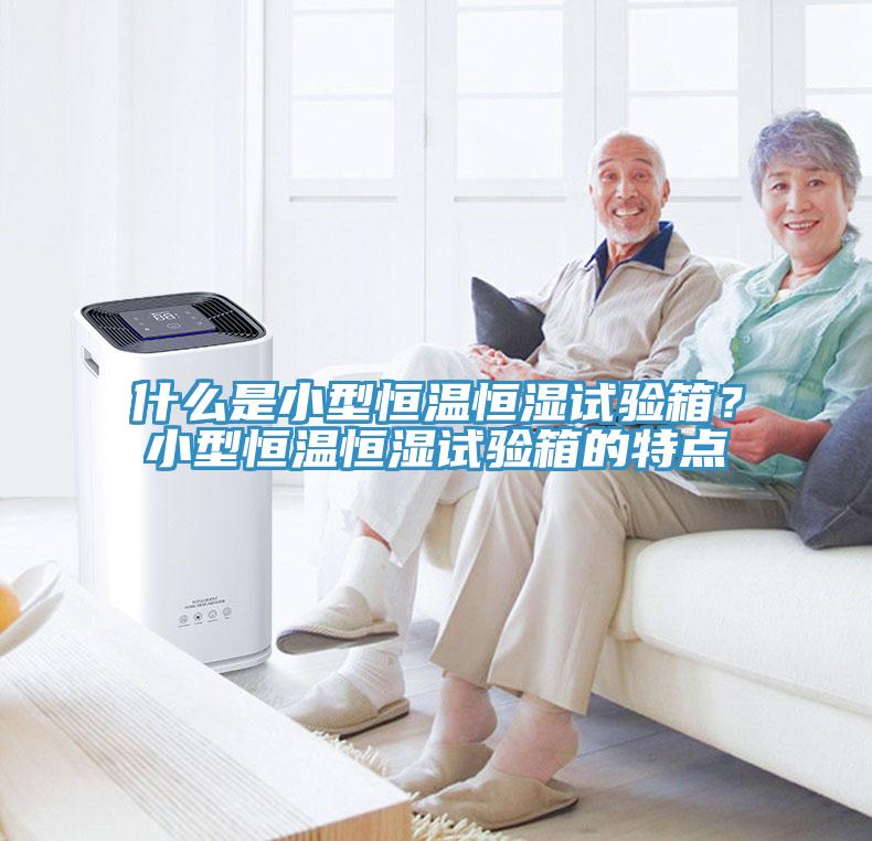 什么是小型恒溫恒濕試驗(yàn)箱？小型恒溫恒濕試驗(yàn)箱的特點(diǎn)