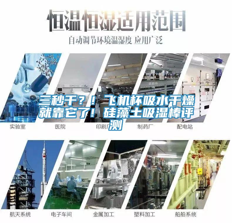 三秒干？! 飛機(jī)杯吸水干燥就靠它了! 硅藻土吸濕棒評(píng)測(cè)