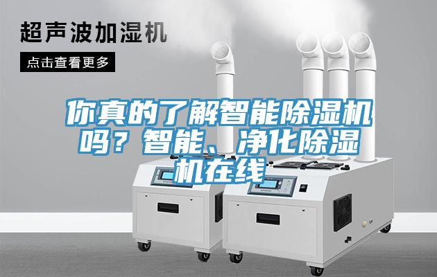 你真的了解智能除濕機(jī)嗎？智能、凈化除濕機(jī)在線