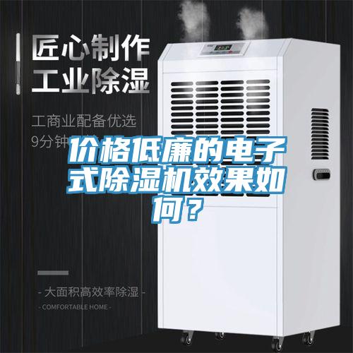 價格低廉的電子式除濕機效果如何？