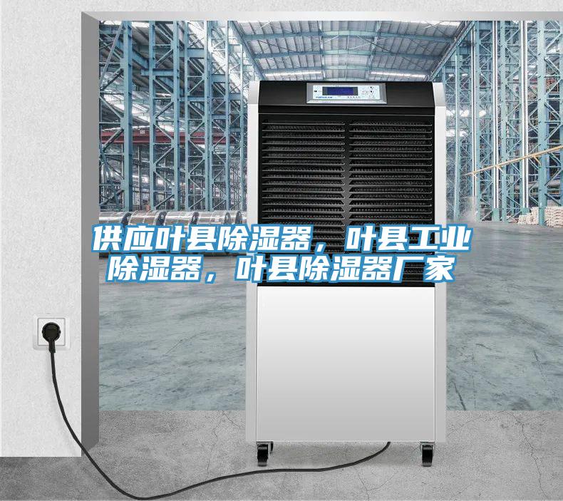 供應(yīng)葉縣除濕器，葉縣工業(yè)除濕器，葉縣除濕器廠(chǎng)家