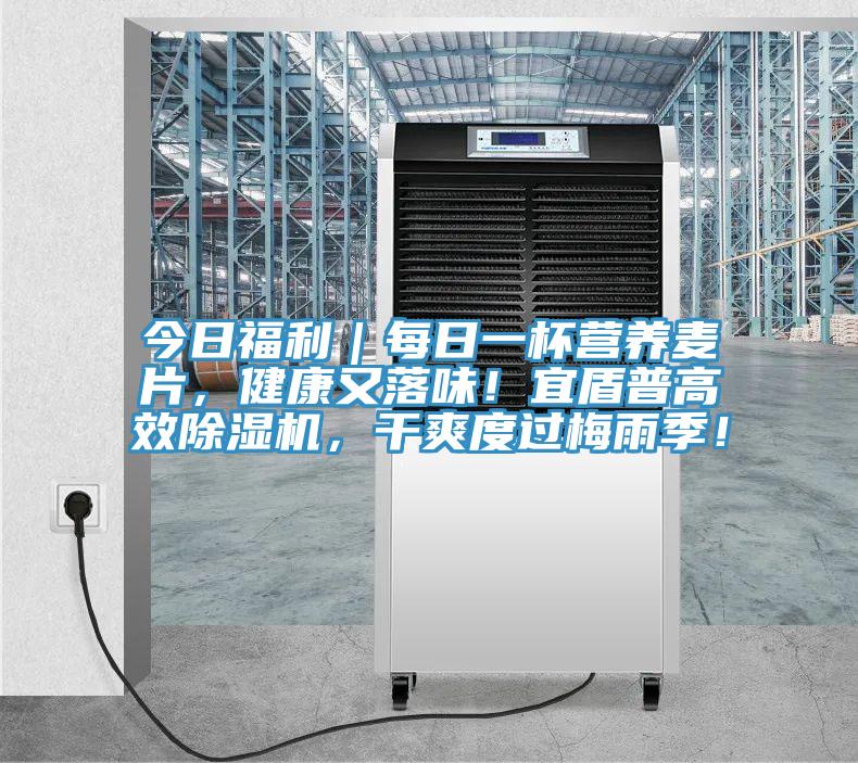 今日福利｜每日一杯營養(yǎng)麥片，健康又落味！宜盾普高效除濕機，干爽度過梅雨季！