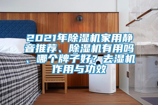 2021年除濕機(jī)家用靜音推薦、除濕機(jī)有用嗎、哪個(gè)牌子好？去濕機(jī)作用與功效