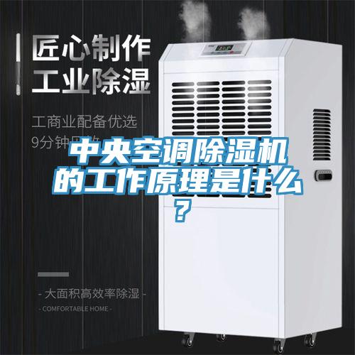 中央空調(diào)除濕機(jī)的工作原理是什么？