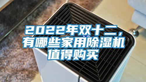 2022年雙十二，有哪些家用除濕機(jī)值得購買