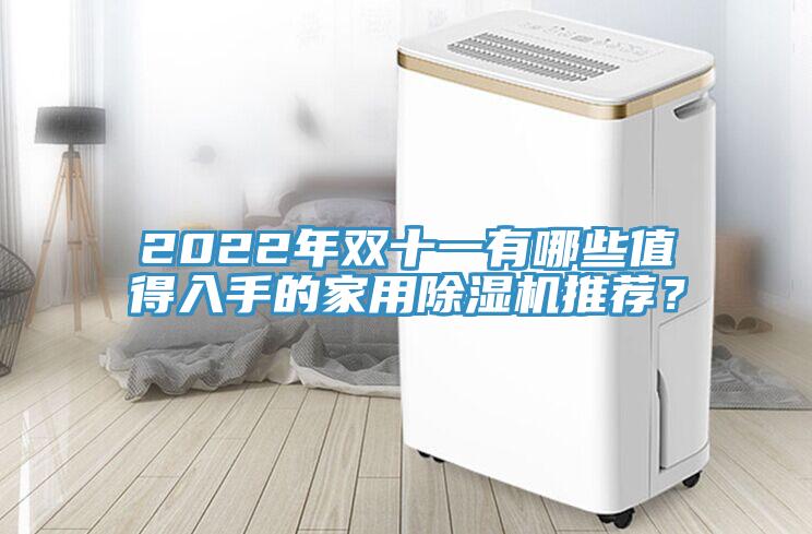 2022年雙十一有哪些值得入手的家用除濕機(jī)推薦？