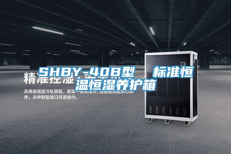 SHBY-40B型 標準恒溫恒濕養(yǎng)護箱