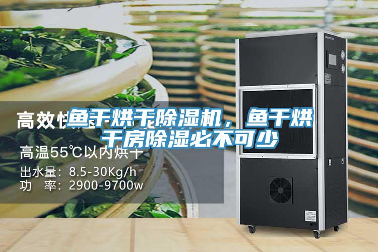 魚干烘干除濕機(jī)，魚干烘干房除濕必不可少