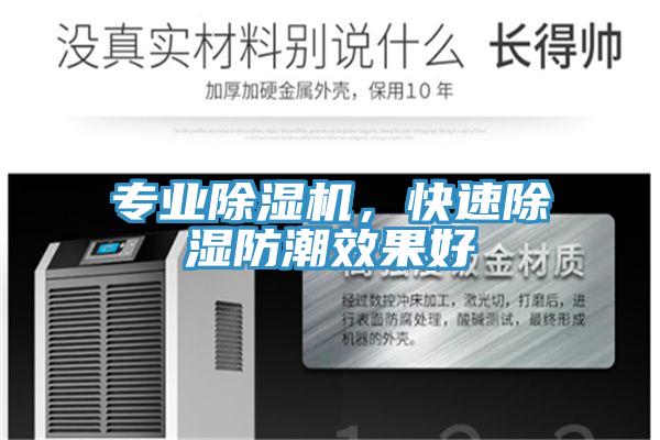 專(zhuān)業(yè)除濕機(jī)，快速除濕防潮效果好