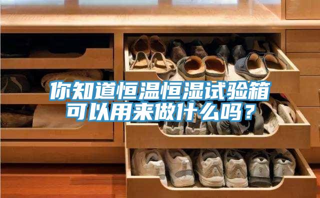 你知道恒溫恒濕試驗箱可以用來做什么嗎？