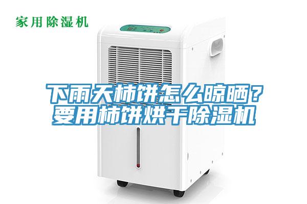 下雨天柿餅怎么晾曬？要用柿餅烘干除濕機(jī)