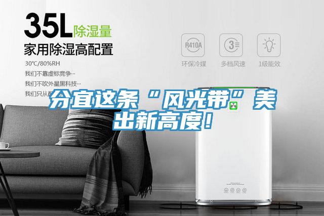 分宜這條“風(fēng)光帶”美出新高度！