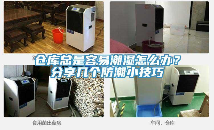 倉(cāng)庫(kù)總是容易潮濕怎么辦？分享幾個(gè)防潮小技巧