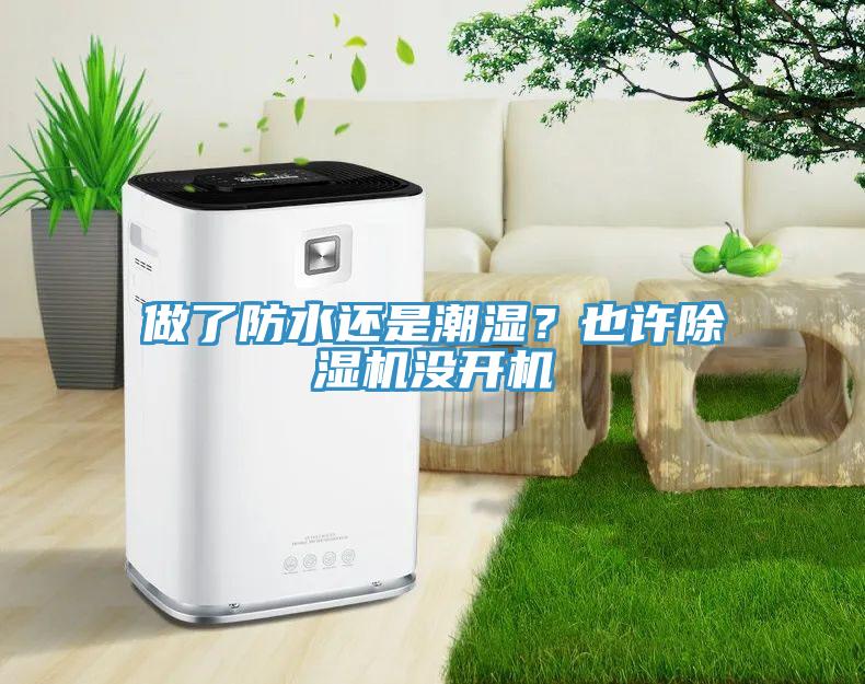做了防水還是潮濕？也許除濕機沒開機