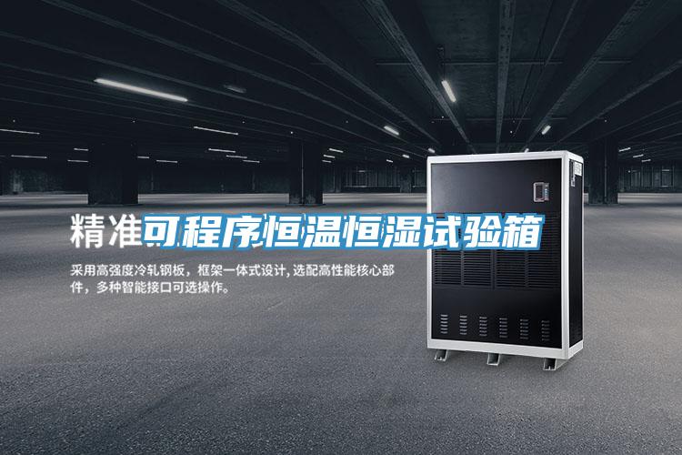 可程序恒溫恒濕試驗(yàn)箱
