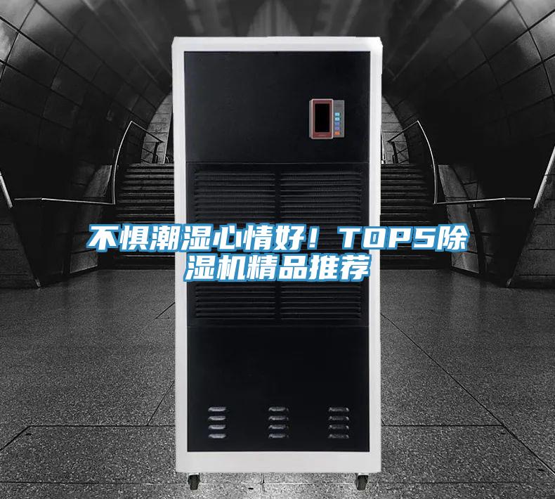 不懼潮濕心情好！TOP5除濕機精品推薦