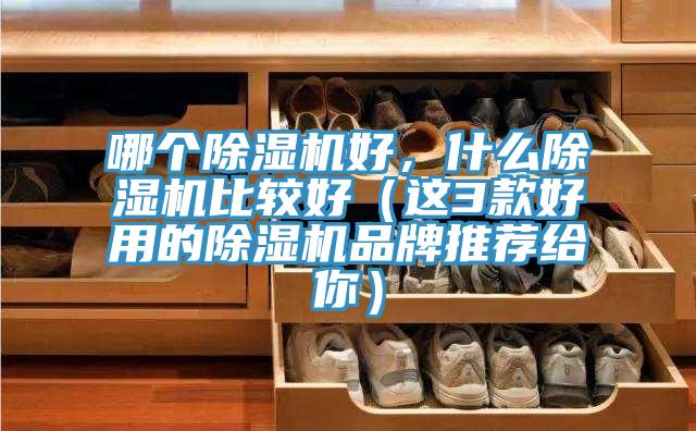 哪個(gè)除濕機(jī)好，什么除濕機(jī)比較好（這3款好用的除濕機(jī)品牌推薦給你）