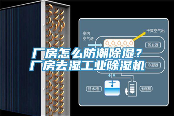 廠房怎么防潮除濕？廠房去濕工業(yè)除濕機