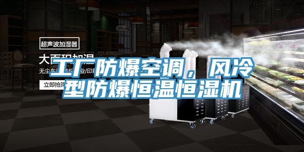 工廠防爆空調(diào)，風冷型防爆恒溫恒濕機