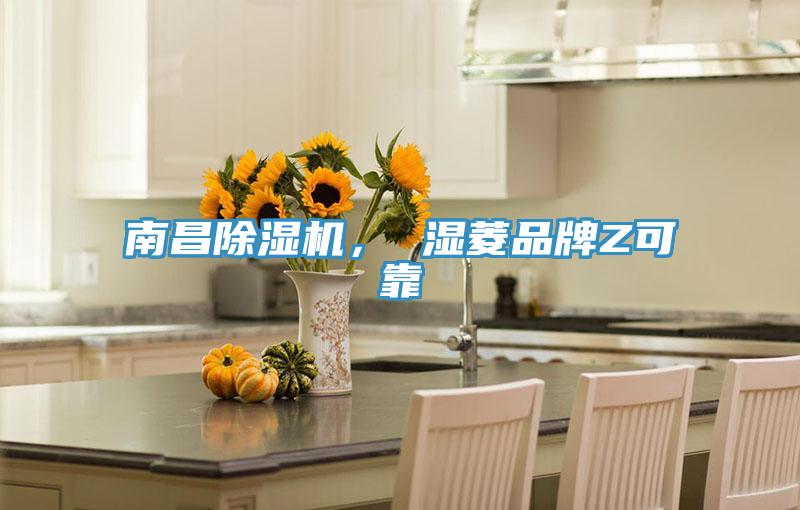 南昌除濕機(jī)， 濕菱品牌Z可靠