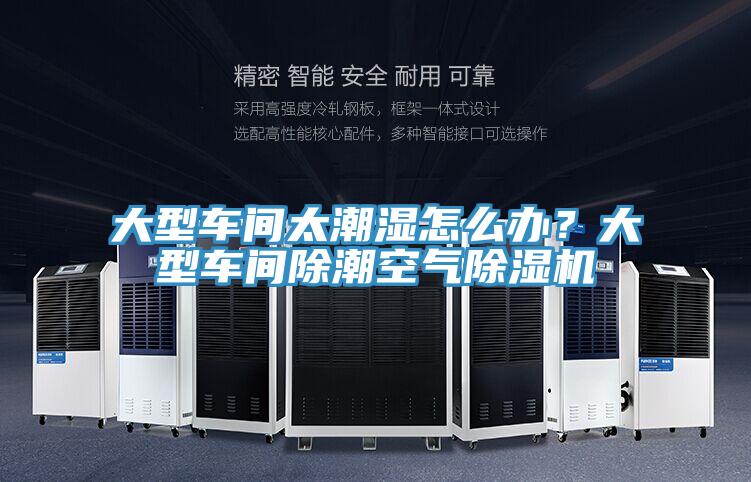 大型車間太潮濕怎么辦？大型車間除潮空氣除濕機(jī)