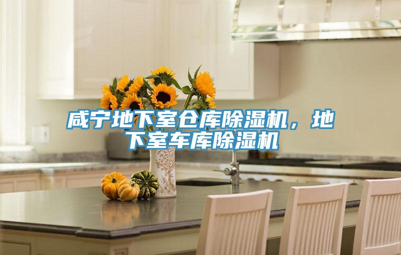 咸寧地下室倉(cāng)庫(kù)除濕機(jī)，地下室車庫(kù)除濕機(jī)