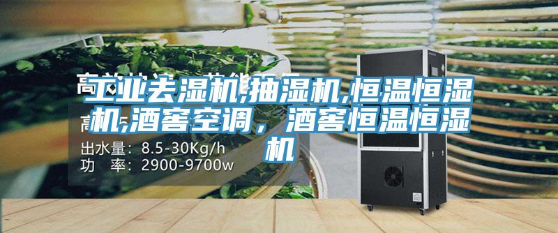 工業(yè)去濕機,抽濕機,恒溫恒濕機,酒窖空調(diào)，酒窖恒溫恒濕機