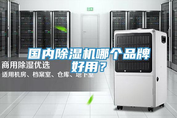 國(guó)內(nèi)除濕機(jī)哪個(gè)品牌好用？