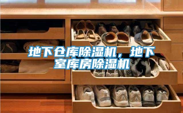 地下倉庫除濕機(jī)，地下室?guī)旆砍凉駲C(jī)