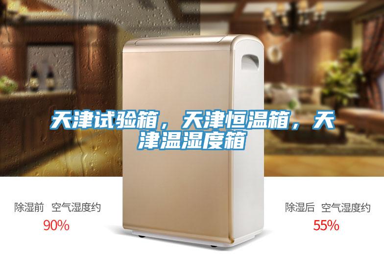 天津試驗箱，天津恒溫箱，天津溫濕度箱