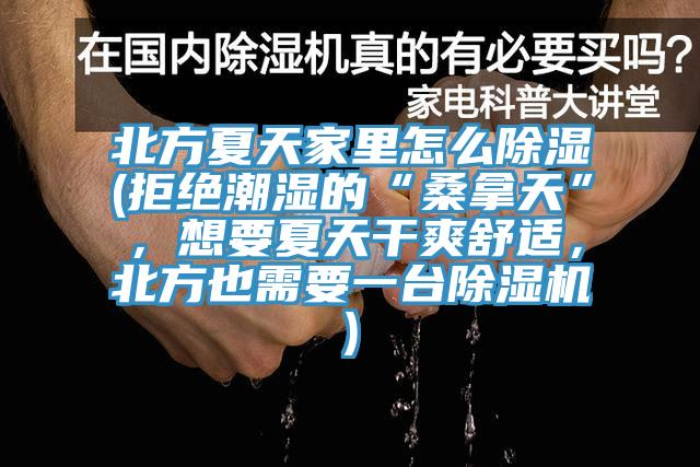 北方夏天家里怎么除濕(拒絕潮濕的“桑拿天”，想要夏天干爽舒適，北方也需要一臺除濕機)