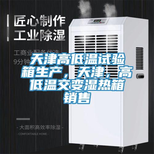 天津高低溫試驗箱生產(chǎn)，天津，高低溫交變濕熱箱銷售