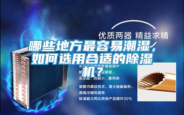 哪些地方最容易潮濕，如何選用合適的除濕機？