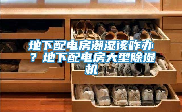 地下配電房潮濕該咋辦？地下配電房大型除濕機(jī)