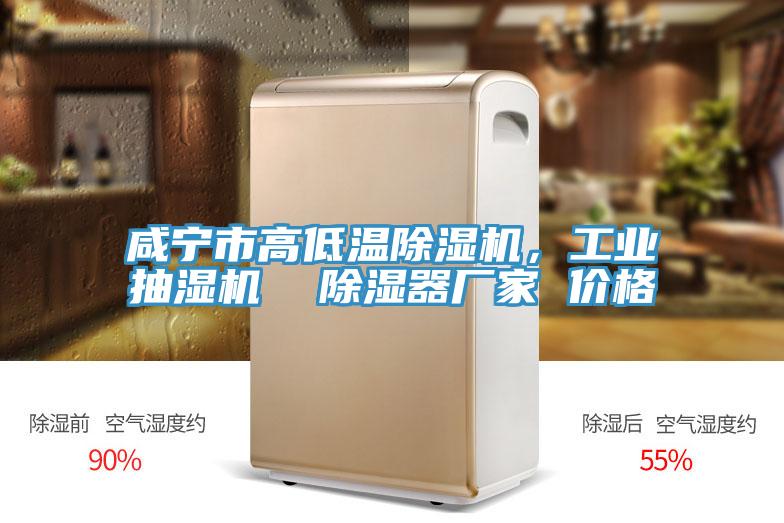 咸寧市高低溫除濕機(jī)，工業(yè)抽濕機(jī)  除濕器廠家 價(jià)格