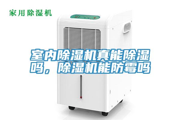 室內(nèi)除濕機(jī)真能除濕嗎，除濕機(jī)能防霉嗎