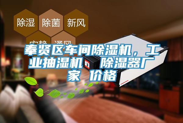奉賢區(qū)車間除濕機(jī)，工業(yè)抽濕機(jī)  除濕器廠家 價(jià)格