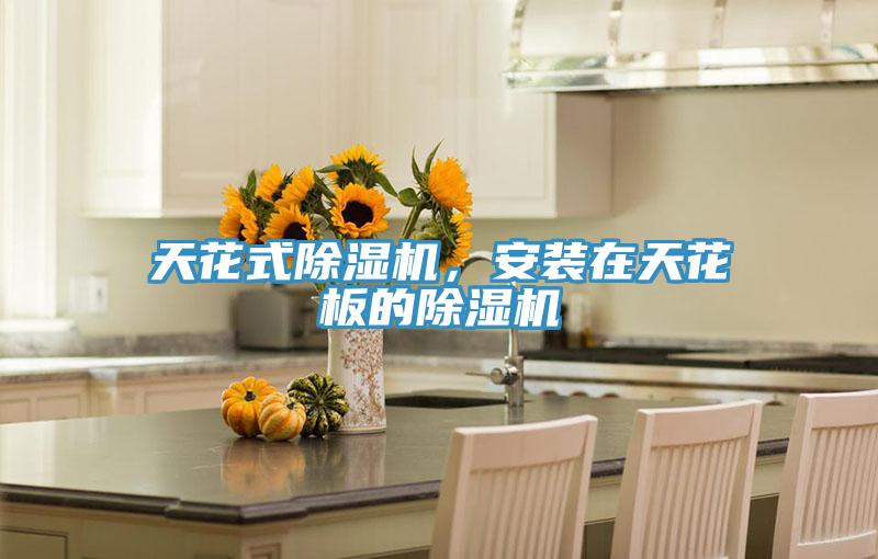 天花式除濕機，安裝在天花板的除濕機