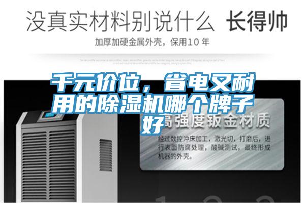 千元價(jià)位，省電又耐用的除濕機(jī)哪個(gè)牌子好