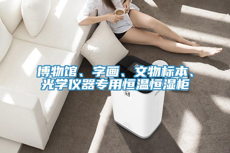 博物館、字畫、文物標(biāo)本、光學(xué)儀器專用恒溫恒濕柜